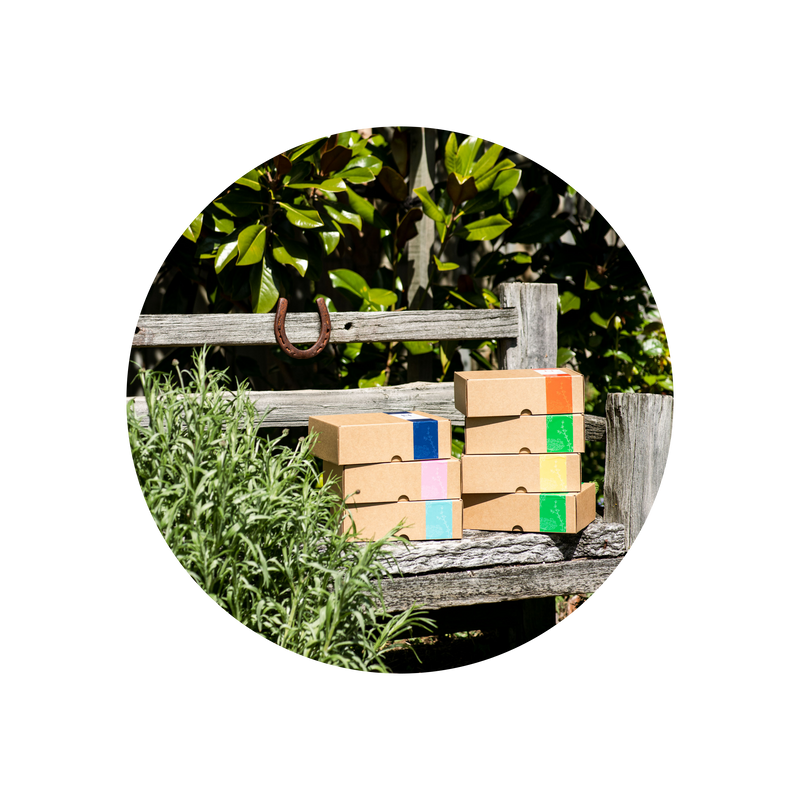 Hiatt and Co Edible Garden Kits