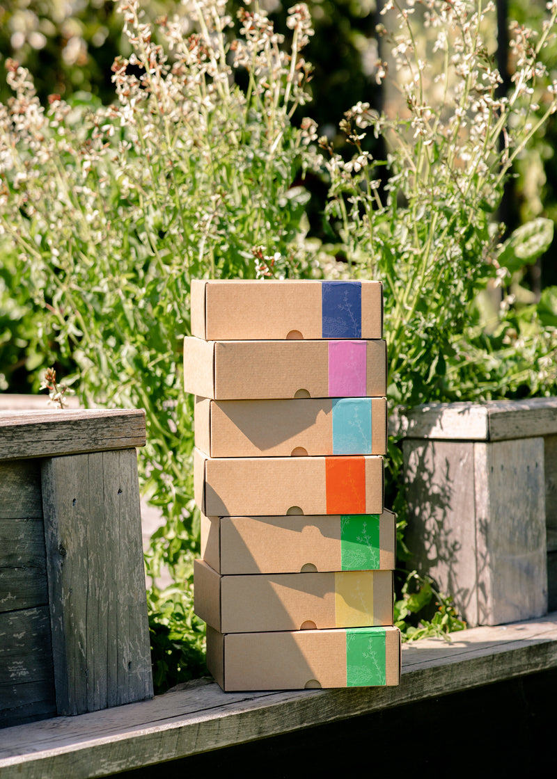 Hiatt & Co seed kits for edible home gardens