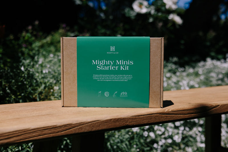 Mighty Minis Starter Kit