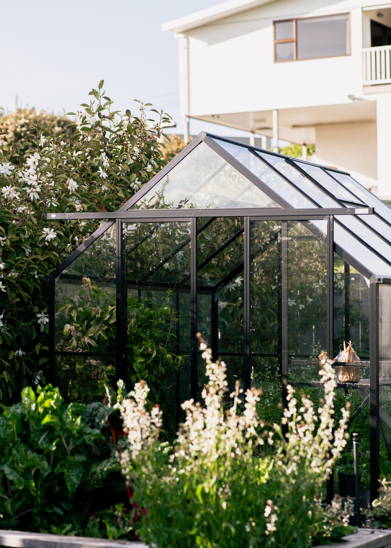 Home garden consultations greenhouse and glass house planting