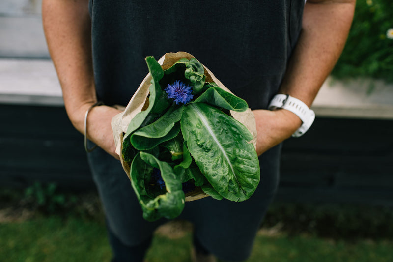 Anna Hiatt Holding Home grown lettuce